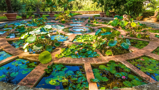 Pitti Palace & Palatine Gallery, Boboli & Bardini Gardens Ticket