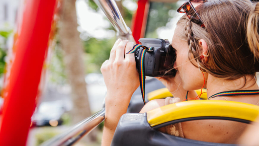 24-Hour Hop-On Hop-Off Bus