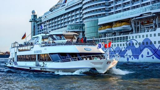 Harbor and Speicherstadt Cruise