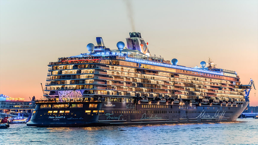 Evening Lights Speicherstadt & Harbor Cruise