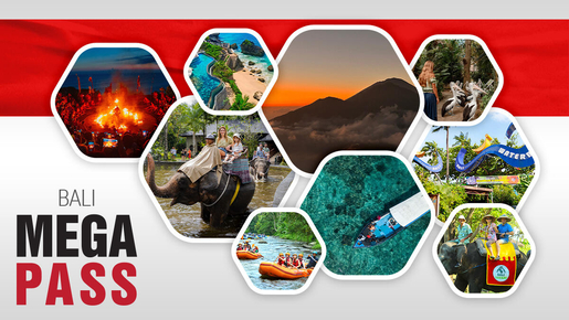 Megapass