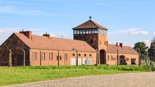 Auschwitz-Birkenau Guided Tour with Hotel Transfer