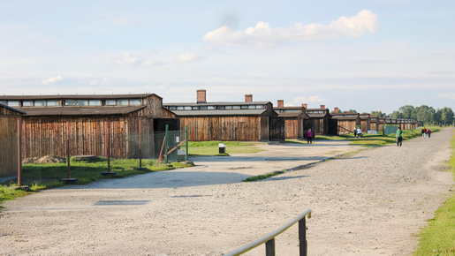 Auschwitz-Birkenau Guided Tour with Hotel Transfer
