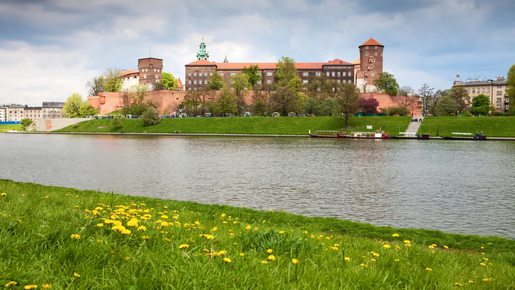 Wawel Castle & Cathedral Guided Tour