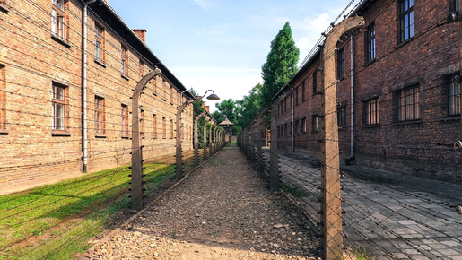 Auschwitz-Birkenau Guided Tour with Hotel Transfer