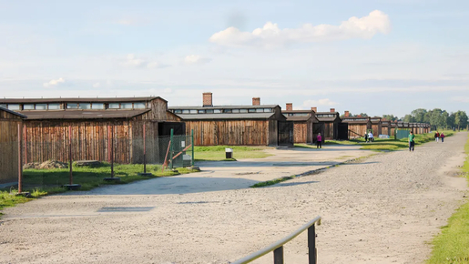Auschwitz-Birkenau Guided Tour with Hotel Transfer