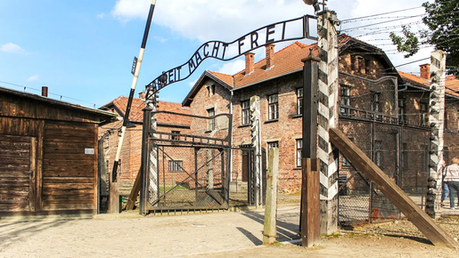 Auschwitz-Birkenau Guided Tour with Hotel Transfer