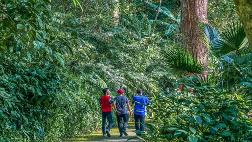 The Habitat Penang Hill Ticket