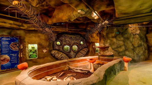 Entopia Penang Ticket