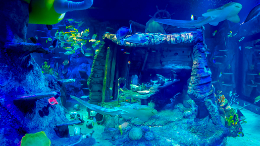 LEGOLAND Sea Life Ticket