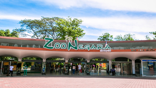 Zoo Negara & Panda Centre Ticket