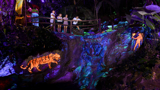 Hot Springs & Night Park Ticket