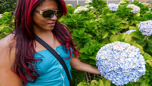 Jardim Zoologico (Lisbon Zoo) Ticket