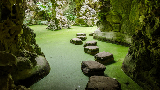 Quinta da Regaleira Ticket