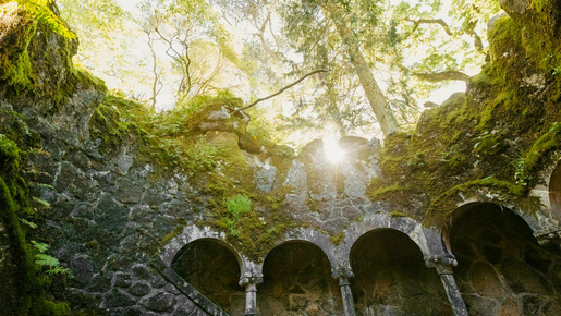 Quinta da Regaleira Ticket