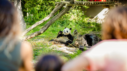 Madrid Zoo Aquarium Ticket