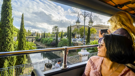 24-Hour Hop-On Hop-Off Bus