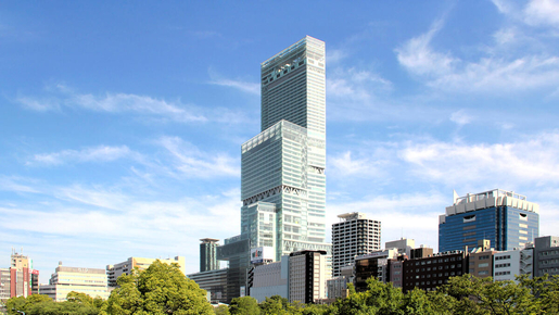 Harukas 300 Observatory Ticket