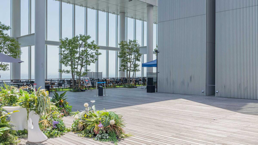 Harukas 300 Observatory Ticket