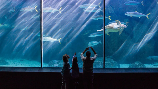 Aquarium de Paris Priority Access Tickets