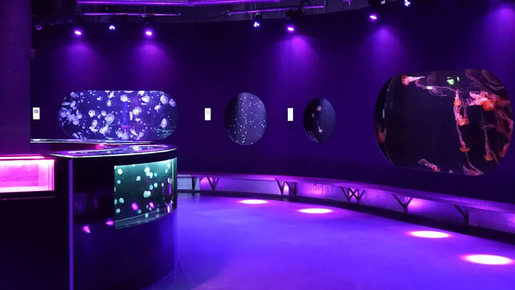 Aquarium de Paris Priority Access Tickets