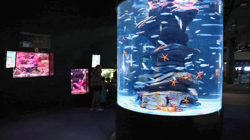 Aquarium de Paris Priority Access Tickets