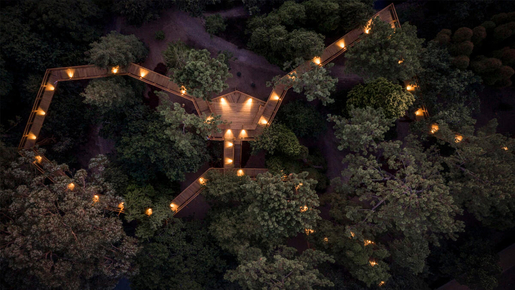 Serralves Foundation Ticket