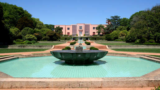 Unlimited Public Transport