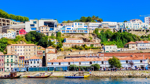 Cálem Cellars Guided Tour with Tasting Experience