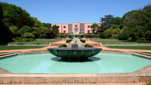 Unlimited Public Transport