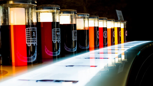 Cálem Cellars Guided Tour with Tasting Experience