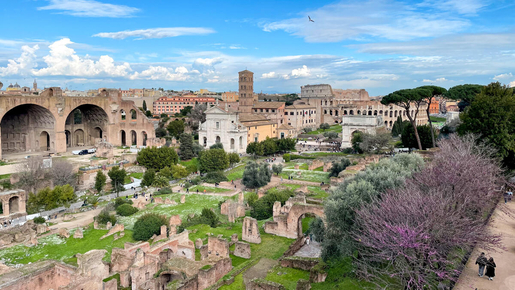 Colosseum with Roman Forum & Palatine Hill
