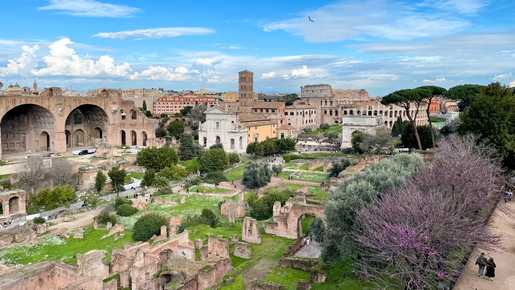 Colosseum with Roman Forum & Palatine Hill