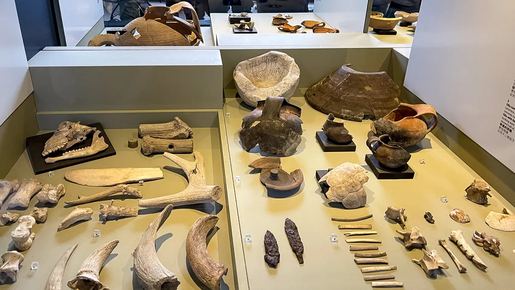 Colosseum with Roman Forum & Palatine Hill