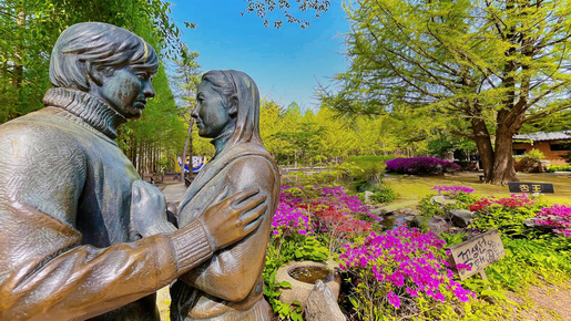 Nami Island Ticket with Transfer