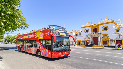 24-Hour Hop-On Hop-Off Bus with 2 Guided Walking Tours