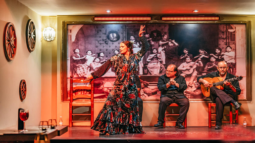 Flamenco Show