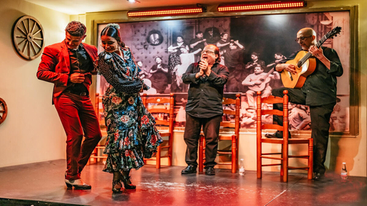 Flamenco Show