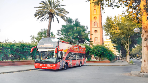 24-Hour Hop-On Hop-Off Bus with 2 Guided Walking Tours