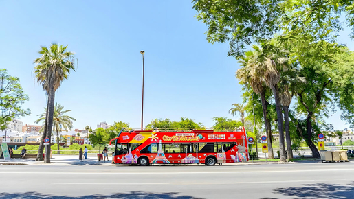 24-Hour Hop-On Hop-Off Bus with 2 Guided Walking Tours