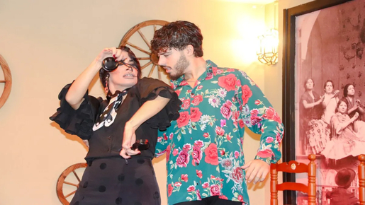 Flamenco Show