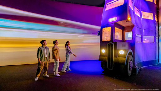 Harry Potter Visions of Magic Ticket