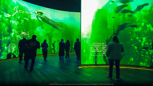 Harry Potter Visions of Magic Ticket