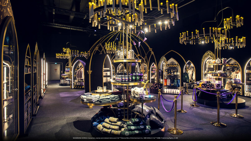 Harry Potter Visions of Magic Ticket