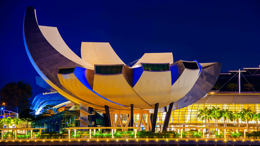 ArtScience Museum Ticket