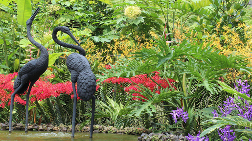 National Orchid Garden Ticket