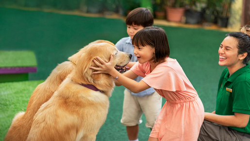 Singapore Zoo Ticket