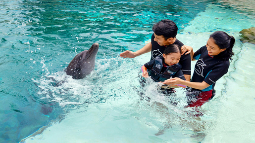 Singapore Oceanarium Ticket