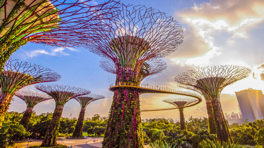 Gardens By The Bay Ticket