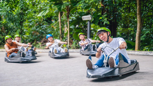 Skyline Luge & Skyride Singapore Ticket